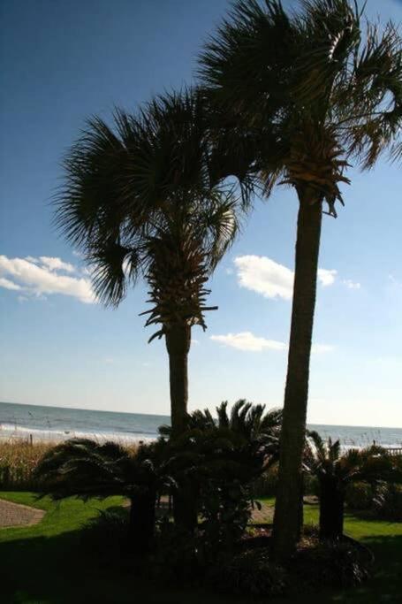 *Renovated Oceanfront Condo*Queen Beds*Pools*Hot Tubs*More*P220 Myrtle Beach Exterior photo